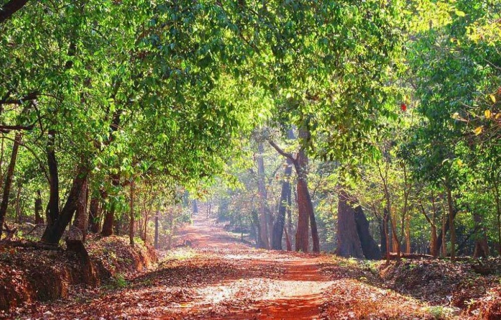 Cotigao Wildlife Sanctuary