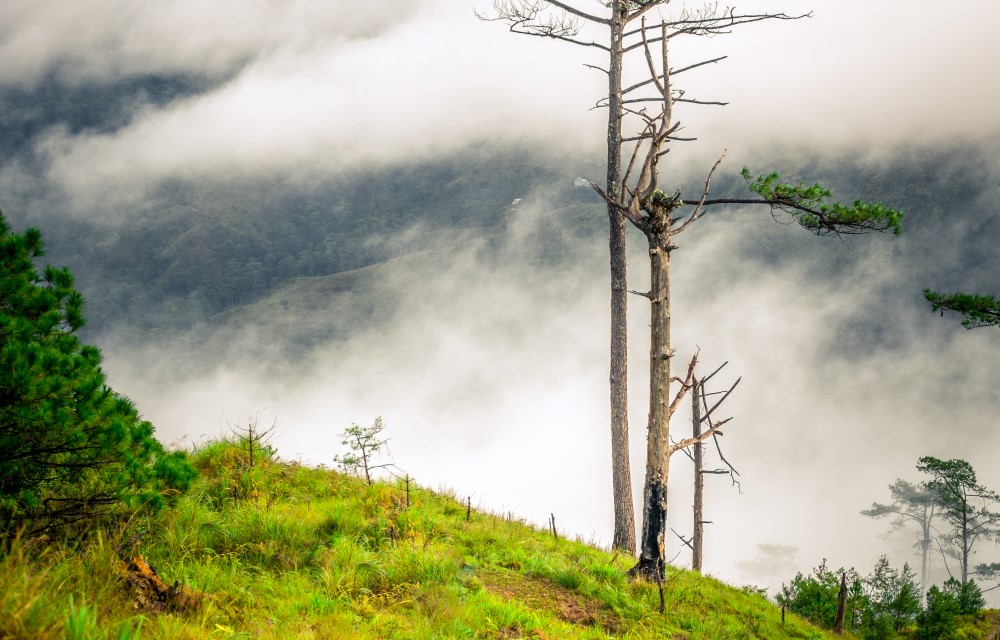 Transforming Business Travel: How Hotels Are Catering to the Modern Corporate Traveler