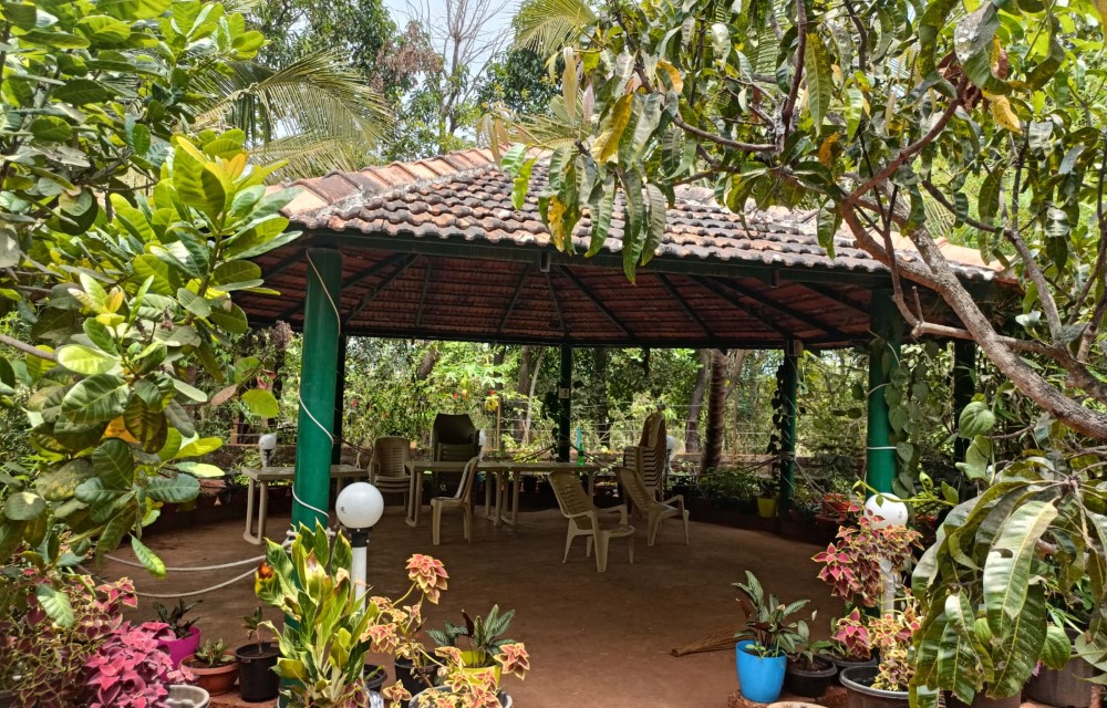 Surve Nature's Resort