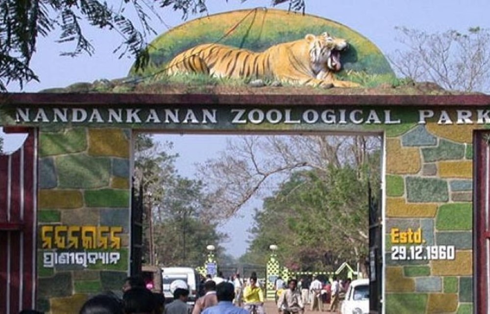 Hotel Vaishno Regal at Nandankanan Zoological Park