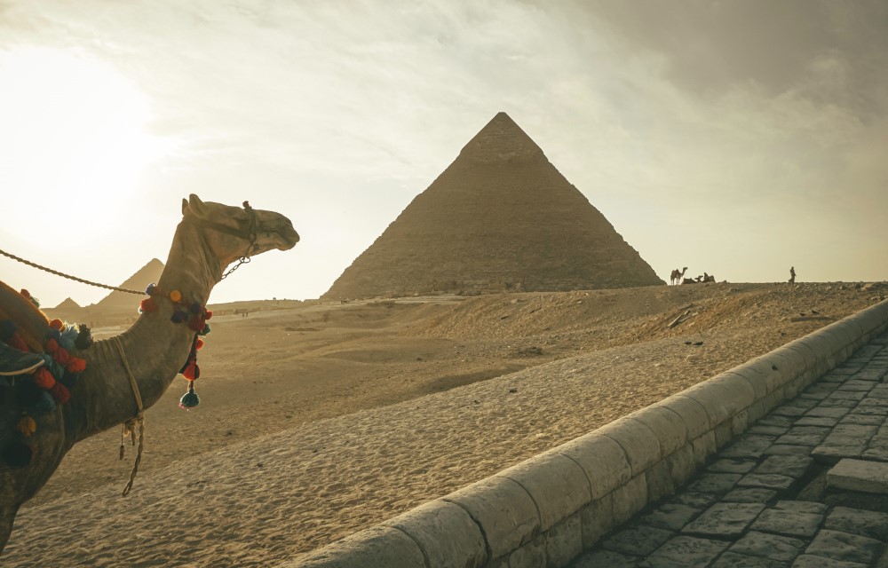 Retail Therapy Spots